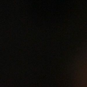 Meet your Posher, Sadie